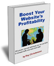 Boost Your Website Profitability book cover